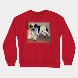 O DOG Crewneck Sweatshirt